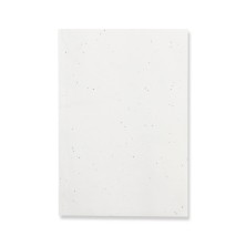 Bloc Notas Semillas Maiwen