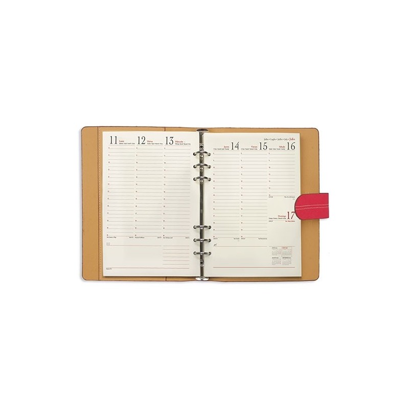 AGENDA MILAN CAMEL SEMANA VISTA