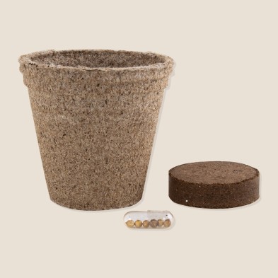 MACETA BIODEGRADABLE CERES