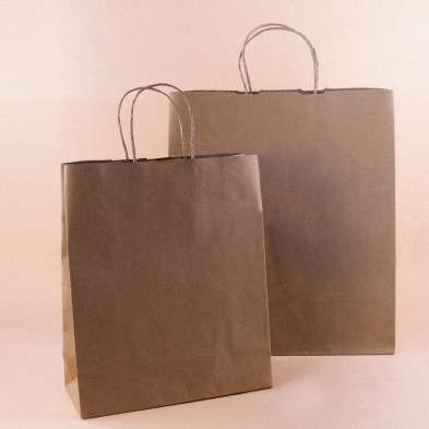 BOLSA AYSEN GRANDE