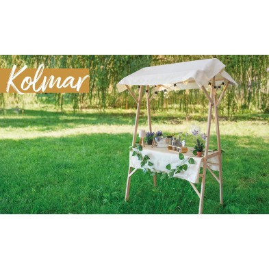 CASETA PLEGABLE PARA EVENTOS