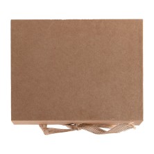 CAJA STEPO