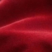 NECESER CARPET