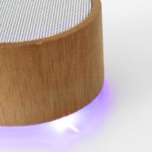 ALTAVOZ MAINE