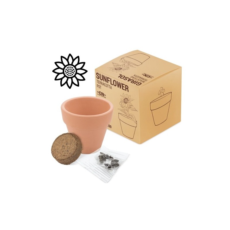 MACETA TERRACOTA GIRASOL "FLORAL"