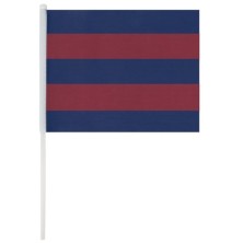 BANDERÍN "MIRT"