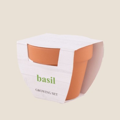 MACETA BASIL