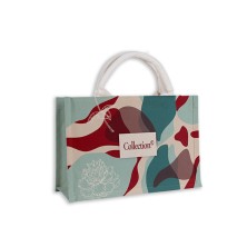 BOLSA VIANA EXPRESS