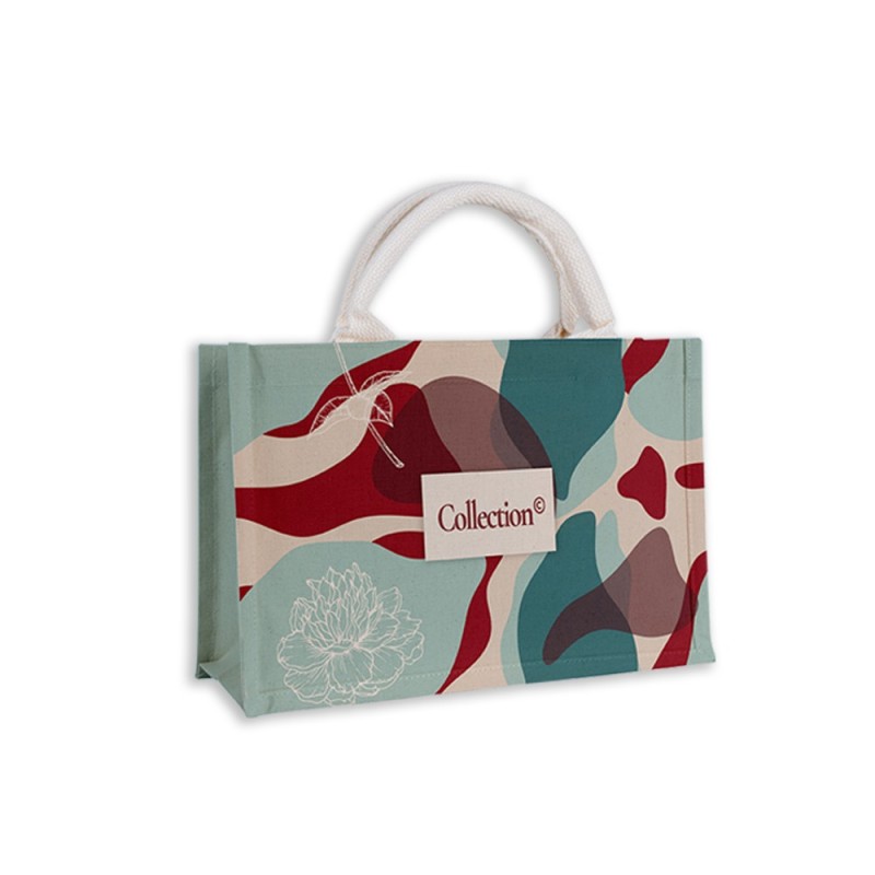 BOLSA VIANA EXPRESS