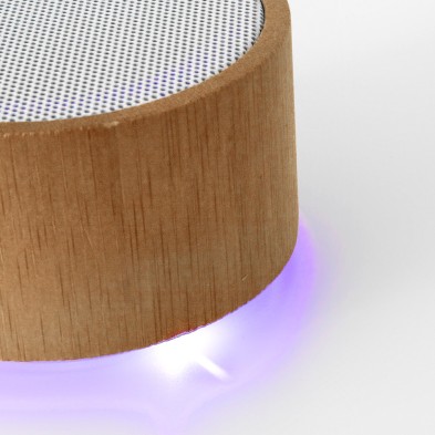 ALTAVOZ MAINE