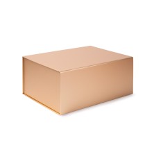 CAJA SOLVIA