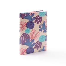 LIBRETA GABIRRI EXPRESS