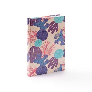 LIBRETA GABIRRI EXPRESS