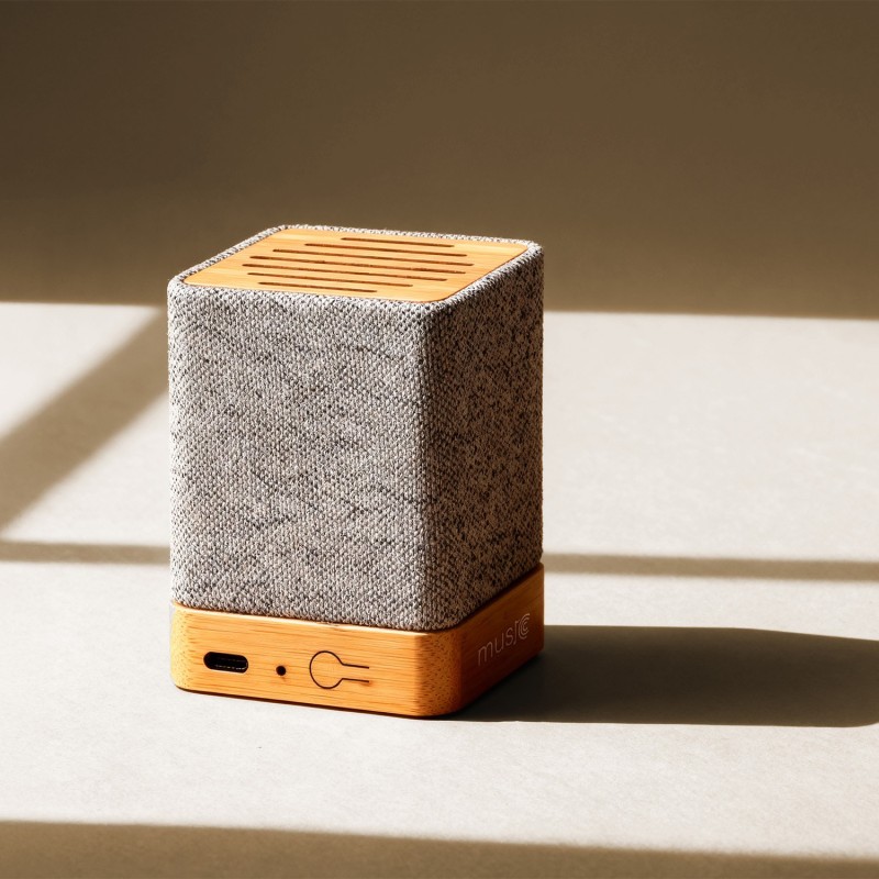 ALTAVOZ IVY
