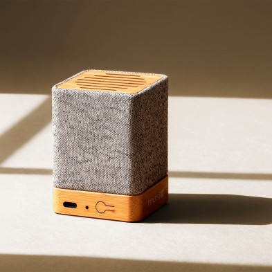ALTAVOZ IVY