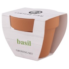 MACETA BASIL