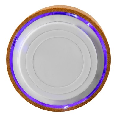 ALTAVOZ MAINE