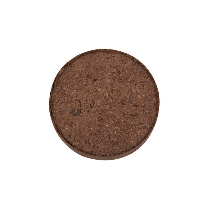 MACETA CERES