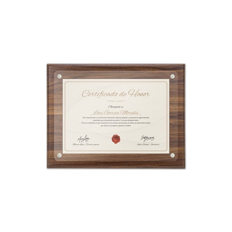 MARCO DE MADERA DIPLOMA A4 "EXCELENCIA"