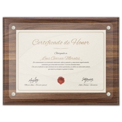 MARCO DE MADERA DIPLOMA A4 "EXCELENCIA"