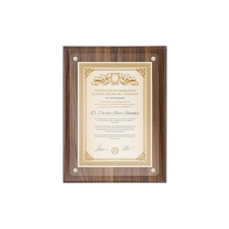 MARCO DE MADERA DIPLOMA A4 "EXCELENCIA"