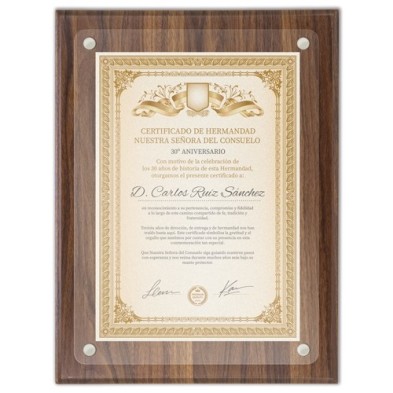 MARCO DE MADERA DIPLOMA A4 "EXCELENCIA"